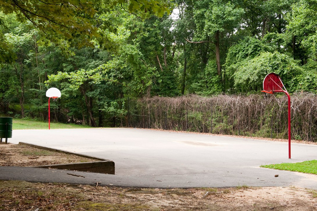 An outdoor basketball court with an asphalt surface and grass at both ends. Beyond the side is an ivy-covered fence and a wooded area.