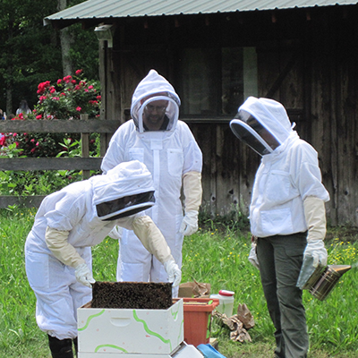 Three people beekeeping