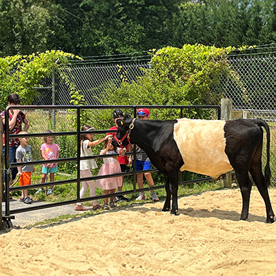 Kids petting a cow at a farm