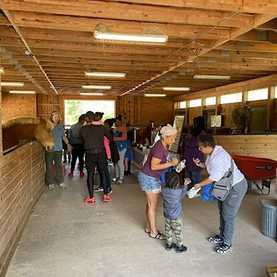 People gathering in a barn with animals