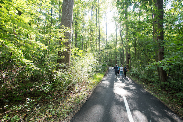 Group of people walking on a trail through the woods