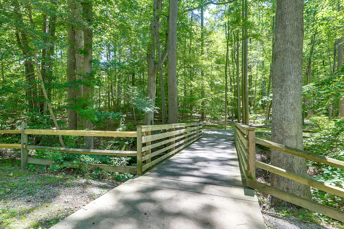 A footbridge with wooden railings leading to a trail in a forested area.