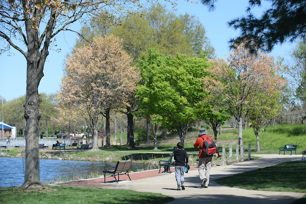 A parent and their child walking along a path surrounded by blossoming trees.